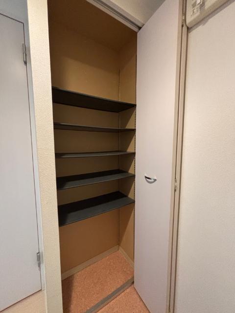 スプレンドール 収納