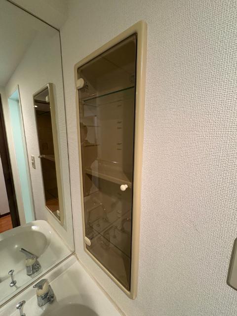 アクティヴマンション（505） 洗面