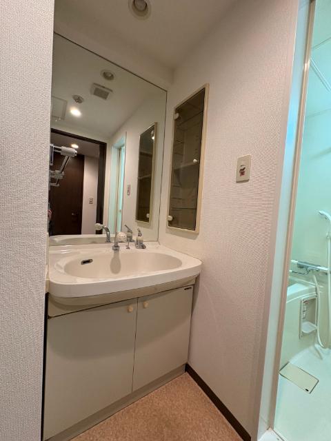 アクティヴマンション（505） 洗面