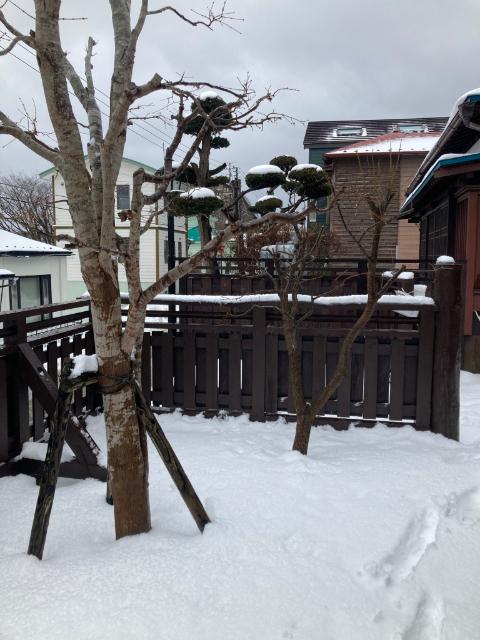 函館市元町貸家 庭