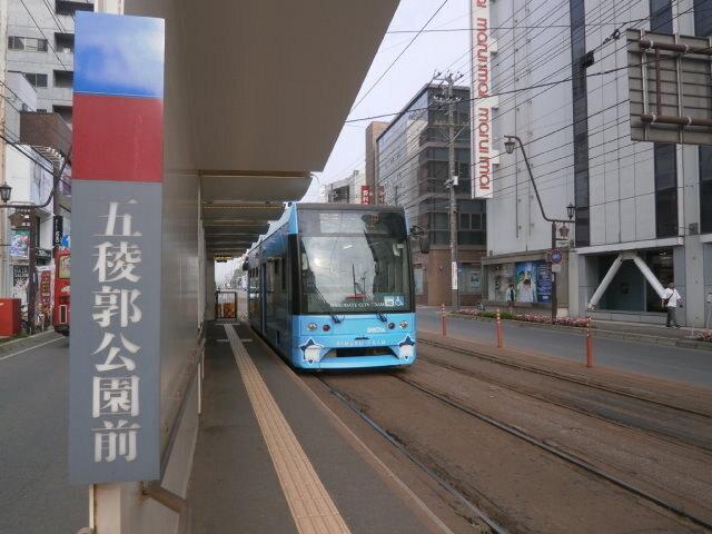 市電五稜郭公園前：350m