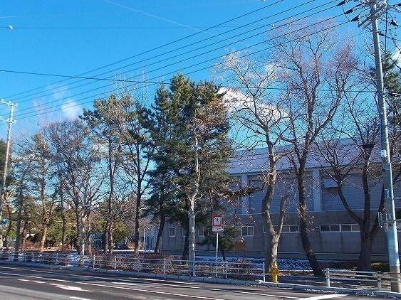 函館市立駒場小学校：1300m