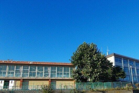 東山小学校：500m