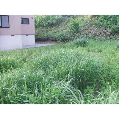 陣川1丁目20番　売土地 土地