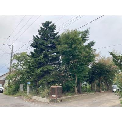 土地3
