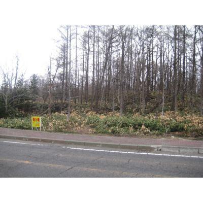 大沼町　売土地 土地