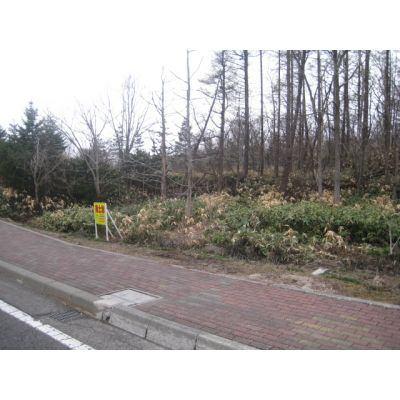 大沼町　売土地 土地
