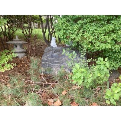 函館市川原町　売土地 土地画像