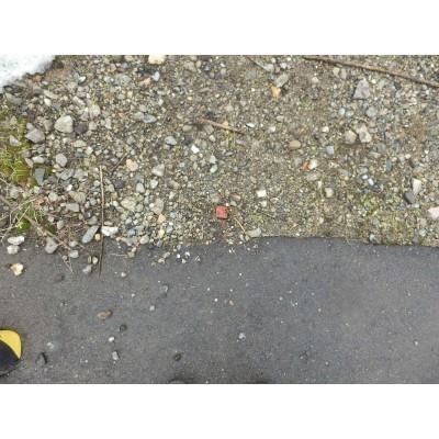 堀川町31番街区　売土地 土地画像