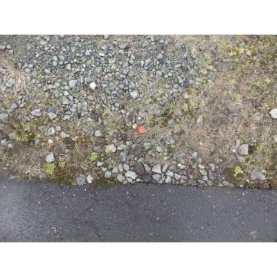 堀川町31番街区　売土地 土地画像
