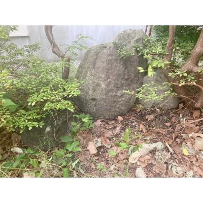 函館市東山1丁目　古家付売土地 土地画像