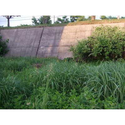 陣川1丁目20番　売土地 土地画像
