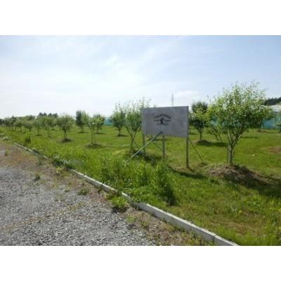 函館市陣川町83番　売土地 土地画像