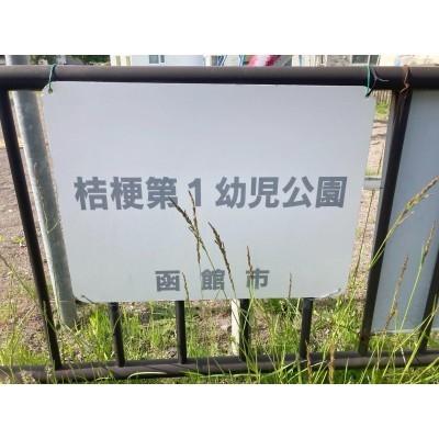 桔梗3丁目16番街区　中古住宅 その他