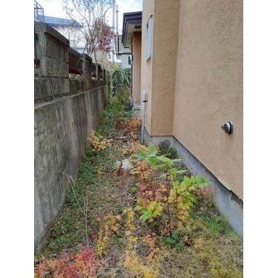 山の手2丁目　古家付売土地 土地画像