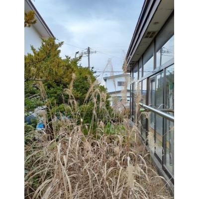 山の手2丁目　古家付売土地 土地画像