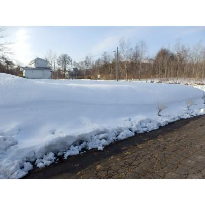 温泉郷松風園　七飯町字大沼売土地 土地画像