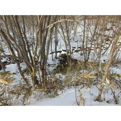 温泉郷松風園　七飯町字大沼売土地 土地画像