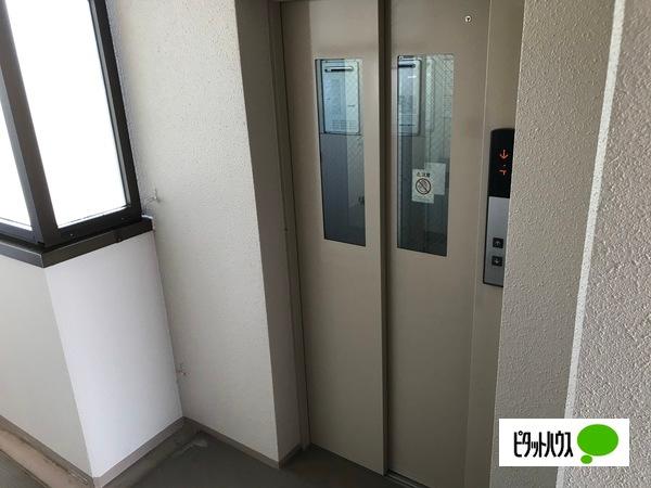 エルフォート31（307） その他