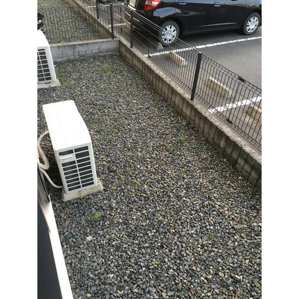 甲賀市甲賀町相模アパート 庭