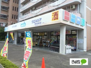 ウエルシア甲賀水口貴生川店：542m