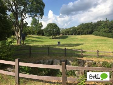 甲賀市あいの森ふれあい公園・青土ダムエコーバレイ：7859m