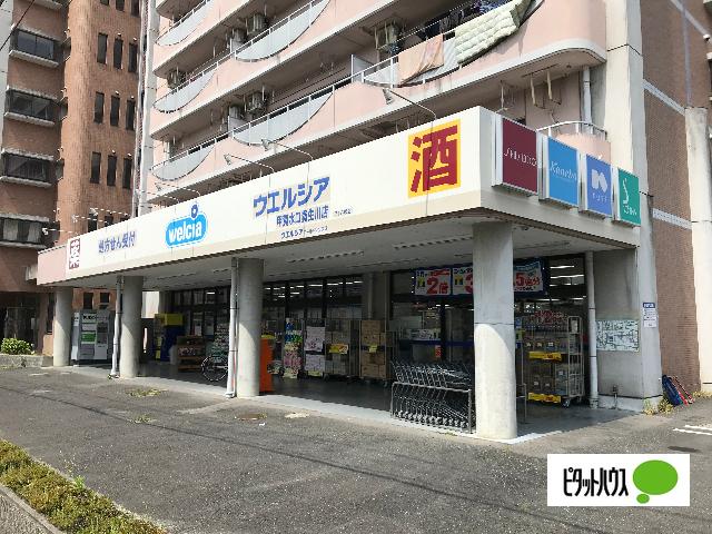 ウエルシア甲賀水口貴生川店：806m