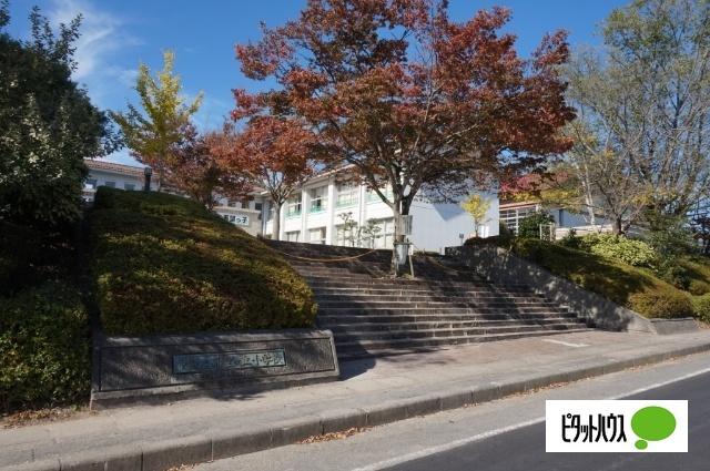 甲賀市立希望ヶ丘小学校：510m