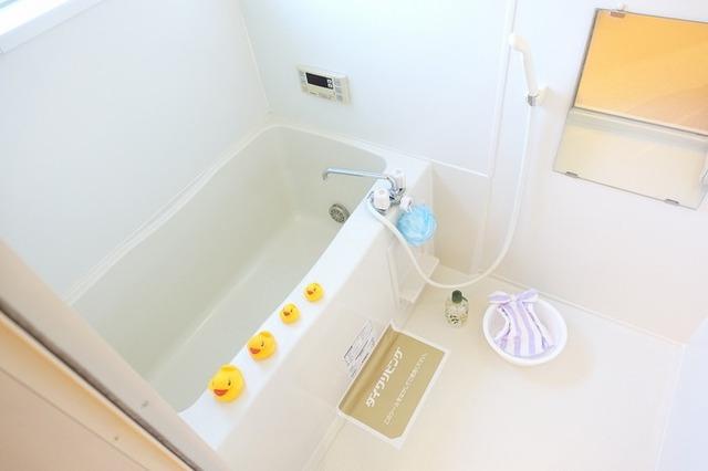 夢咲きの里　Ｃ（103） 部屋画像