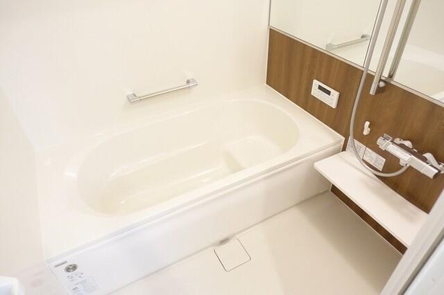 LuzLazo Esy (ﾙｰｽﾗｿ ｴｼｨ)（105） 部屋画像