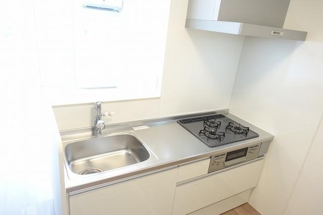 LuzLazo Esy (ﾙｰｽﾗｿ ｴｼｨ)（105） 部屋画像