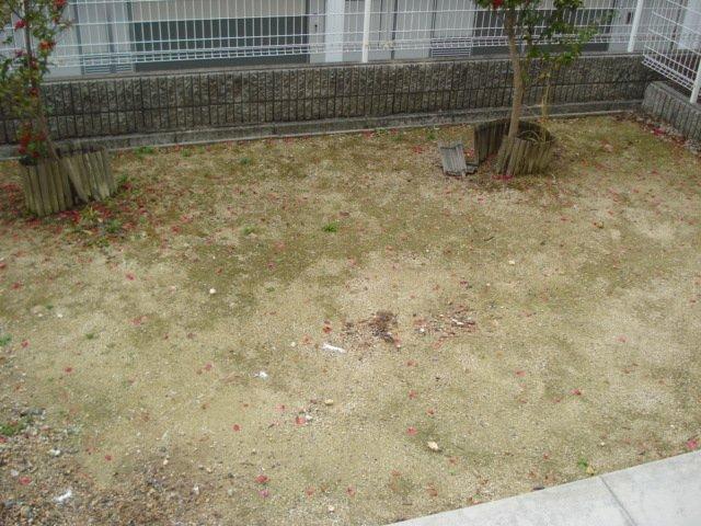 シャルマンハウスⅡ 部屋画像