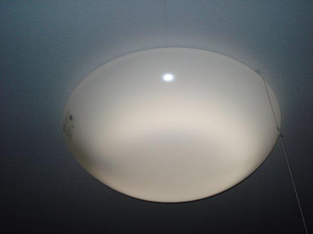 フローリッシュⅡ 部屋画像