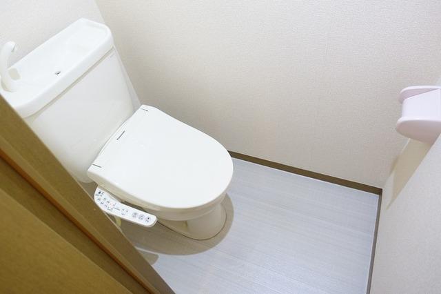 ジュネスヤマザキ（202） 部屋画像