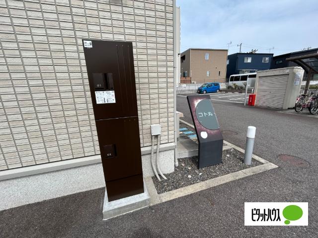 コト丸（202） その他
