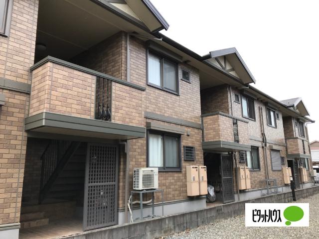 クローバー　Ⅱ（103） その他