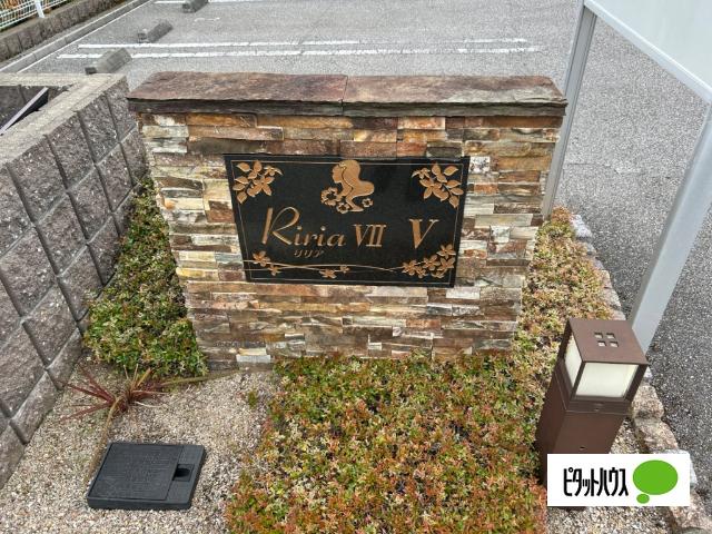 Ｒｉｒｉａ　Ⅶ　Ⅴ（204） その他