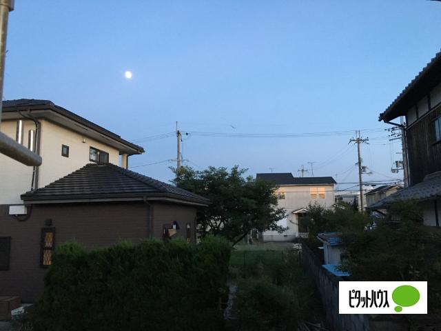 ヒルズ　ココ 眺望