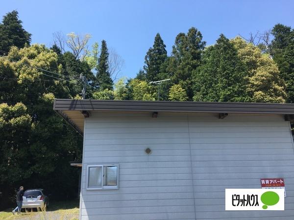 今井アパート 物件画像