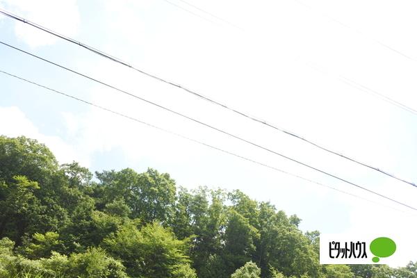緑ヶ丘ハイツ 物件画像
