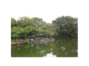 菊名池公園：982m