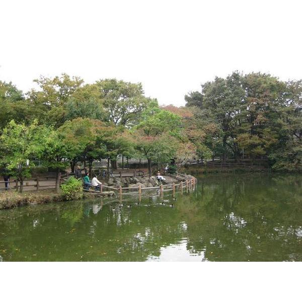 菊名池公園：867m