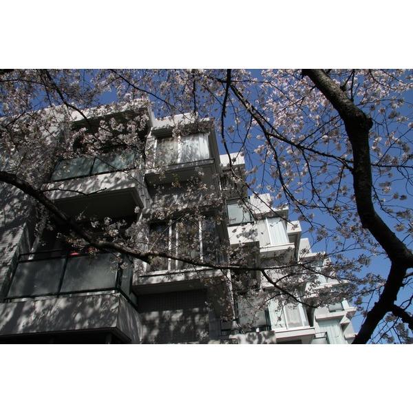 外観写真1