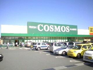 コスモス島崎店：484m