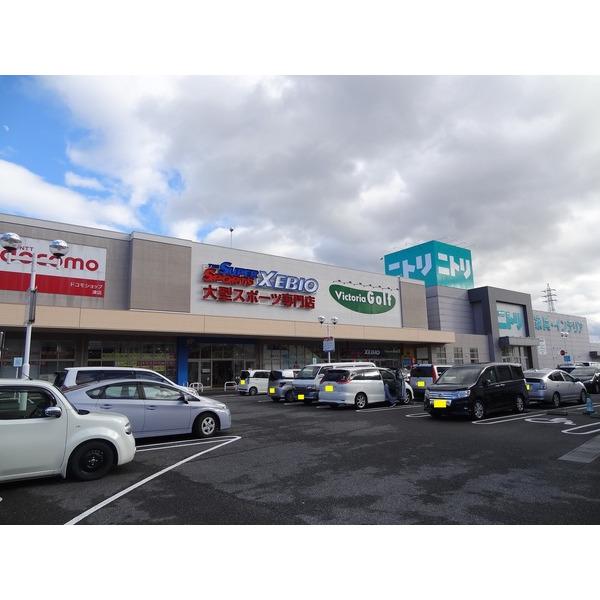 ニトリ津店：738m