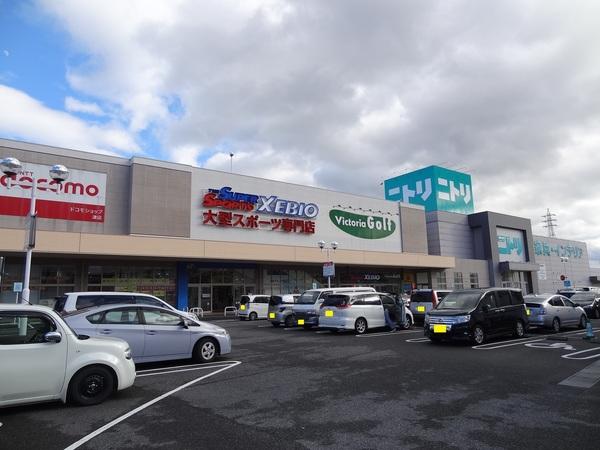 ニトリ津店：947m