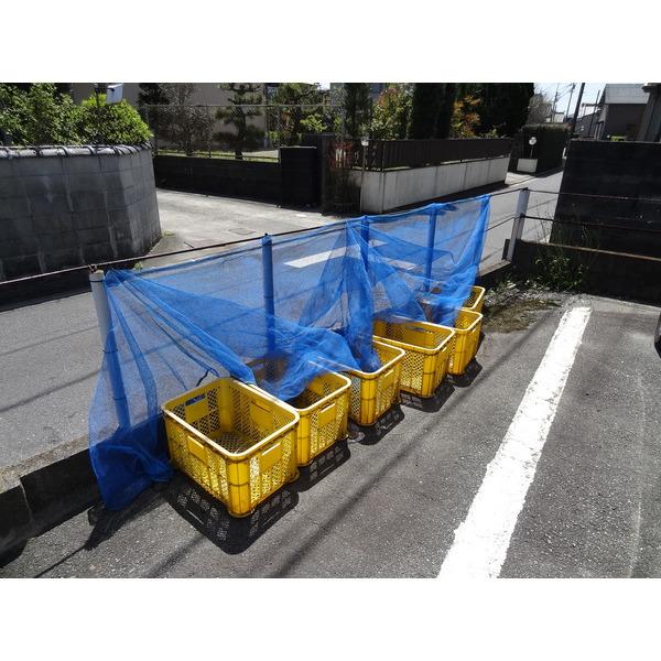 ハイツジュネス 共有部分