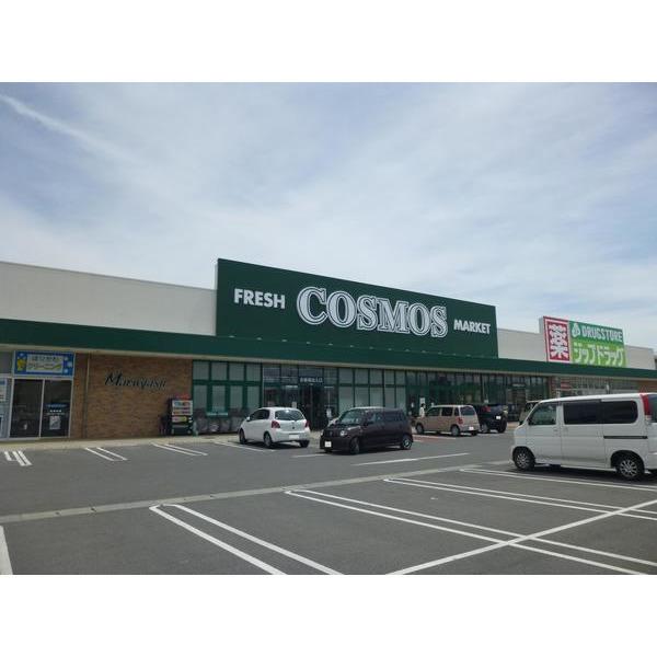 コスモス一身田店：1041m
