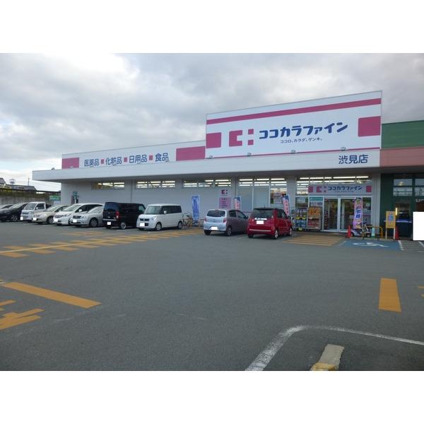ココカラファイン渋見店：1534m