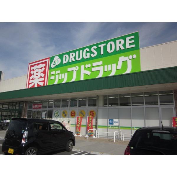 ジップドラッグ一身田店：491m